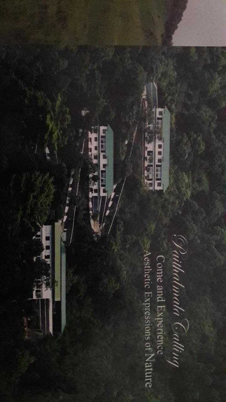 Paithal Resort カンヌール エクステリア 写真