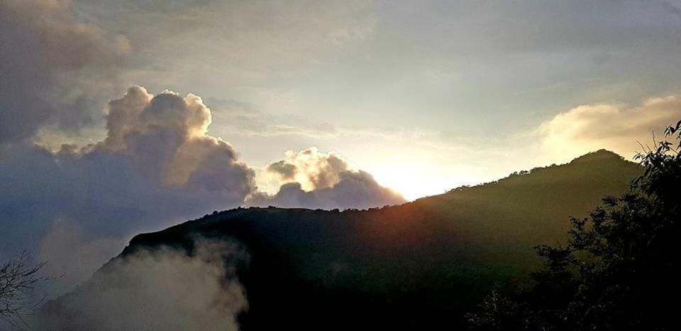 Paithal Resort カンヌール エクステリア 写真