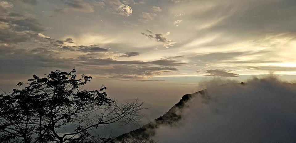 Paithal Resort カンヌール エクステリア 写真